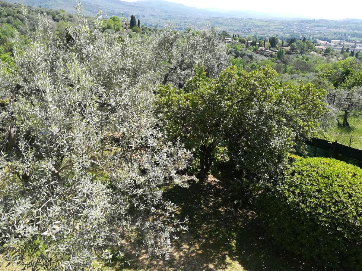 Villa Gallorosso Settignano Luaran gambar